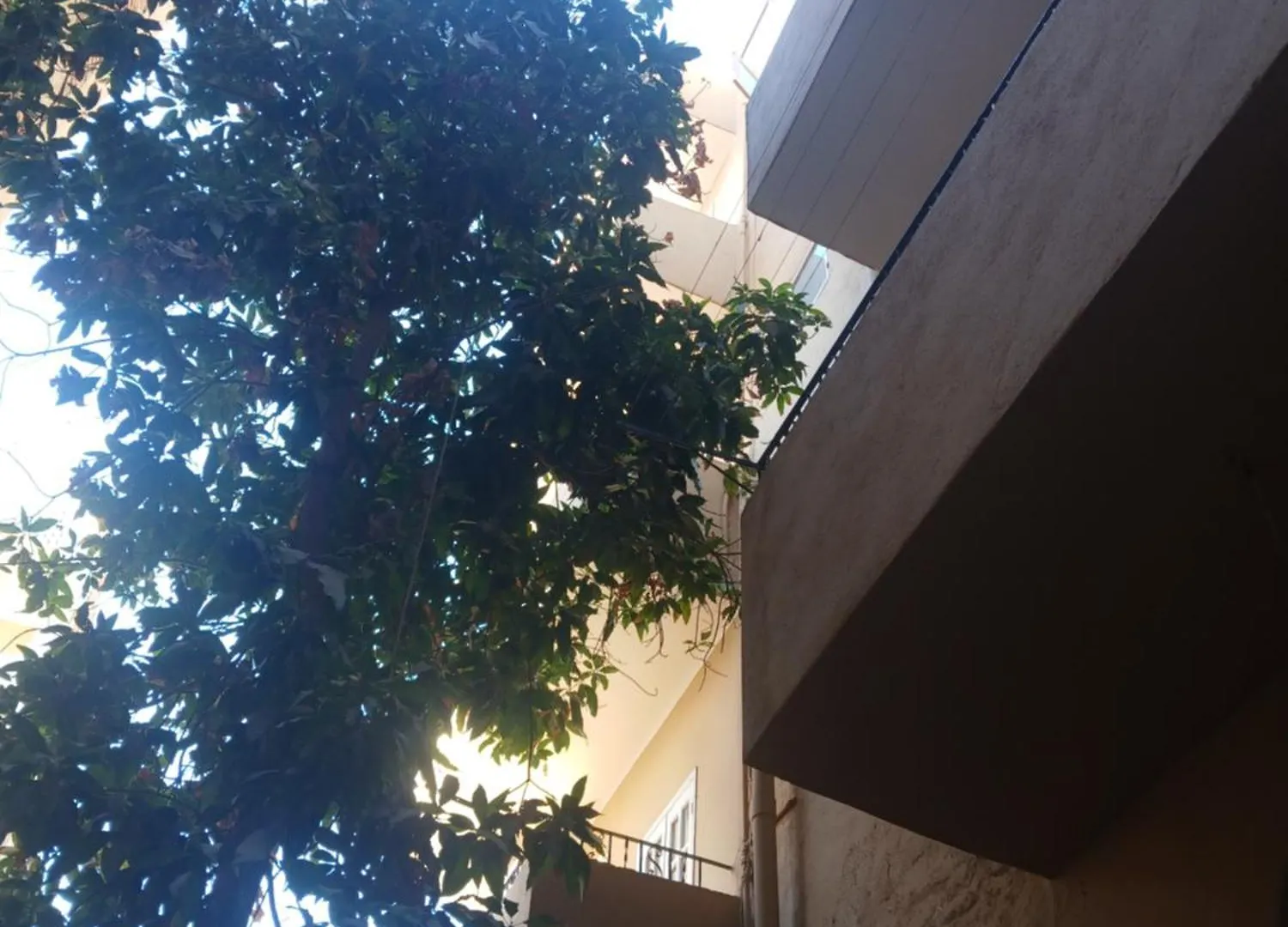 Cream Hostel Luxor
